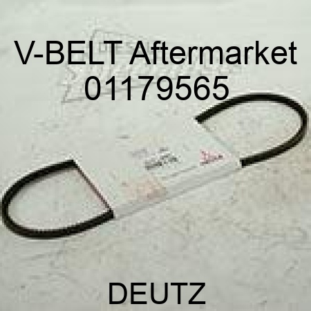 V-BELT Aftermarket 01179565