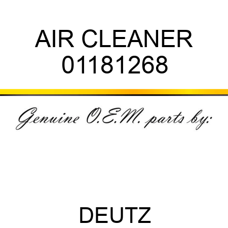 AIR CLEANER 01181268