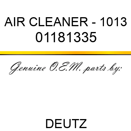 AIR CLEANER - 1013 01181335