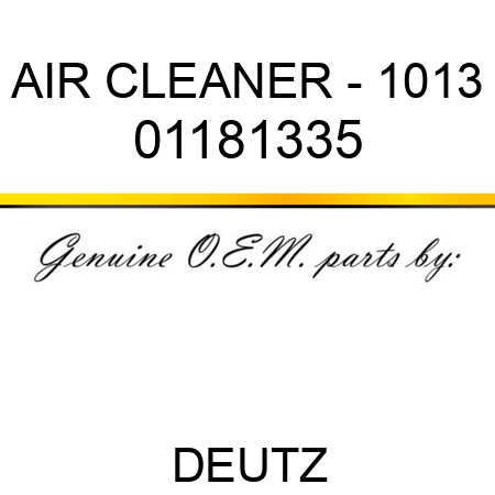 AIR CLEANER - 1013 01181335