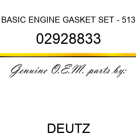 BASIC ENGINE GASKET SET - 513 02928833