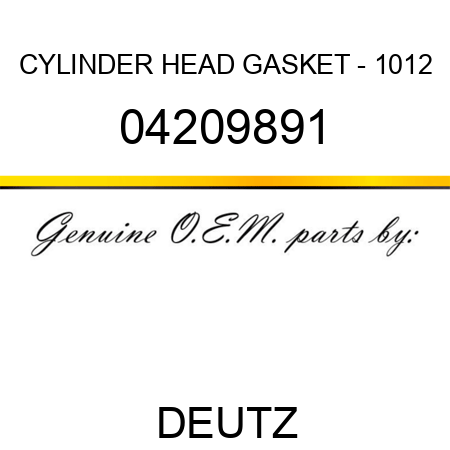 CYLINDER HEAD GASKET - 1012 04209891