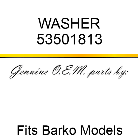 WASHER 53501813