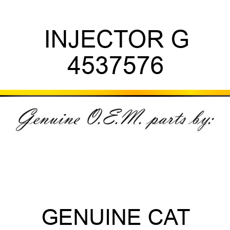 INJECTOR G 4537576