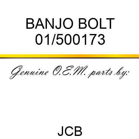 BANJO BOLT 01/500173
