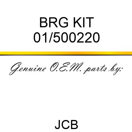 BRG KIT 01/500220