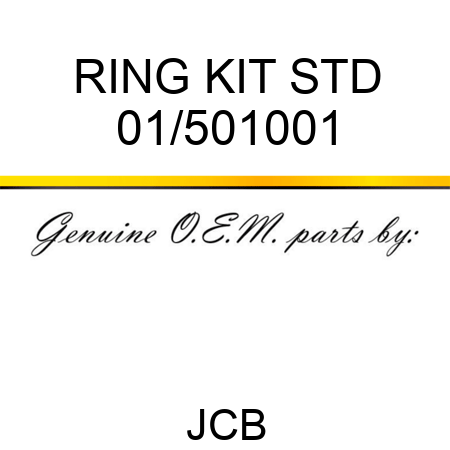 RING KIT STD 01/501001