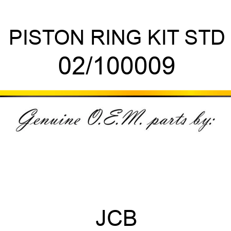 PISTON RING KIT STD 02/100009