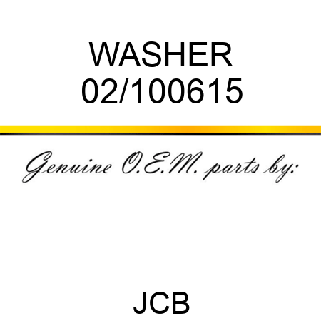 WASHER 02/100615