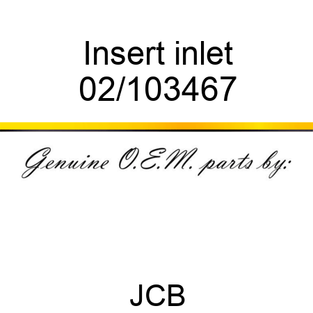 Insert inlet 02/103467