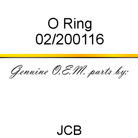 O Ring 02/200116
