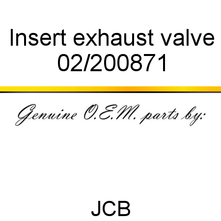 Insert, exhaust valve 02/200871