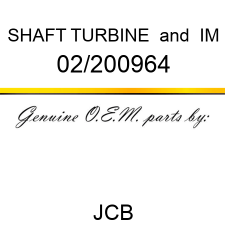 SHAFT TURBINE & IM 02/200964