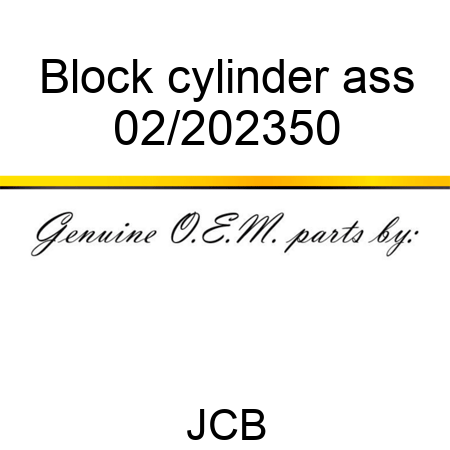 Block cylinder ass 02/202350