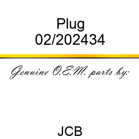 Plug 02/202434