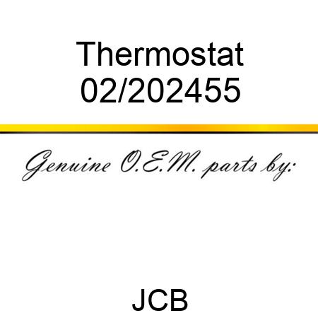 Thermostat 02/202455