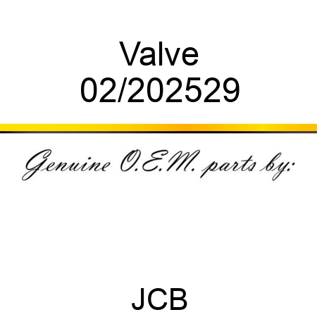 Valve 02/202529