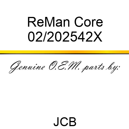 ReMan Core 02/202542X