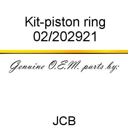 Kit-piston ring 02/202921