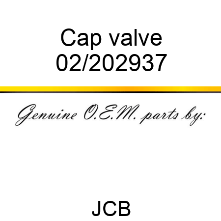 Cap valve 02/202937