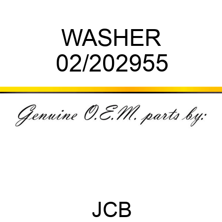 WASHER 02/202955