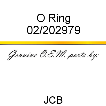 O Ring 02/202979