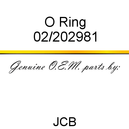 O Ring 02/202981