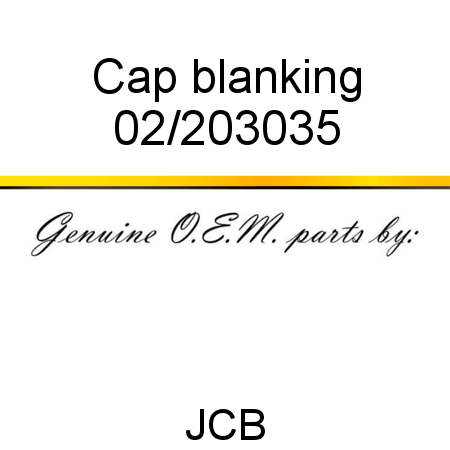 Cap, blanking 02/203035