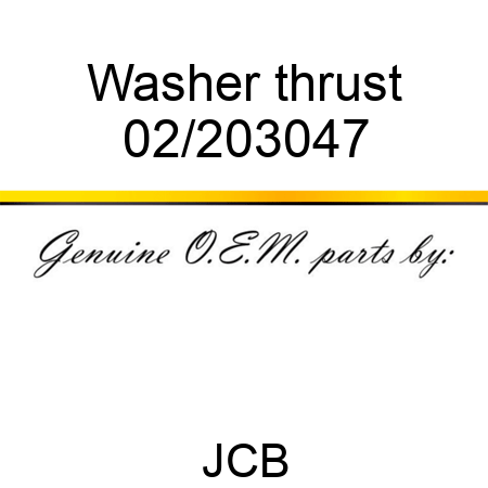 Washer thrust 02/203047