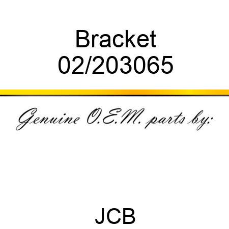 Bracket 02/203065