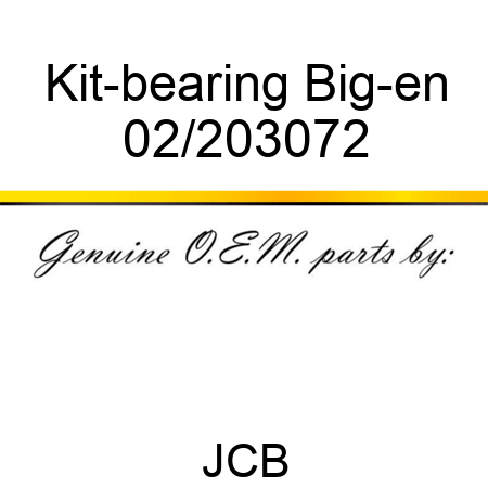 Kit-bearing Big-en 02/203072