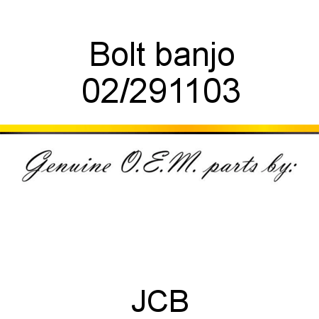 Bolt, banjo 02/291103