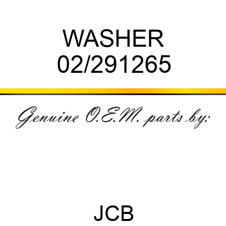 WASHER 02/291265