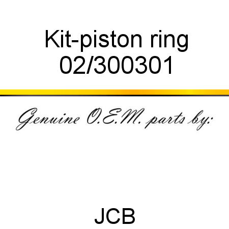 Kit-piston ring 02/300301