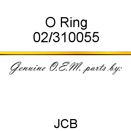 O Ring 02/310055