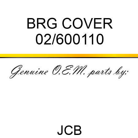 BRG COVER 02/600110