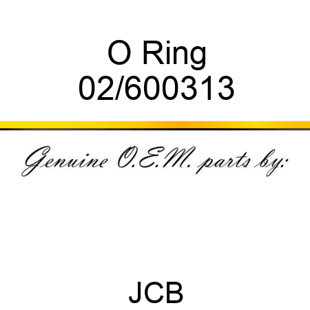 O Ring 02/600313