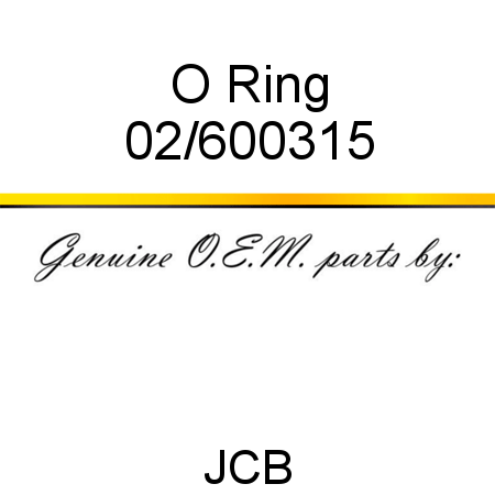 O Ring 02/600315