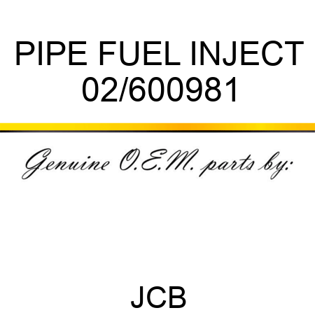 PIPE FUEL INJECT 02/600981