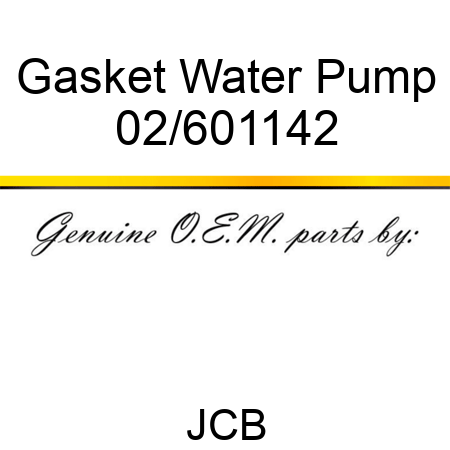 Gasket Water Pump 02/601142