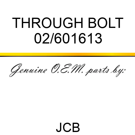 THROUGH BOLT 02/601613