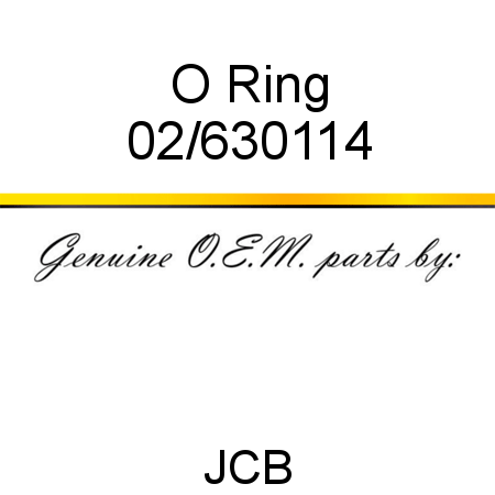 O Ring 02/630114