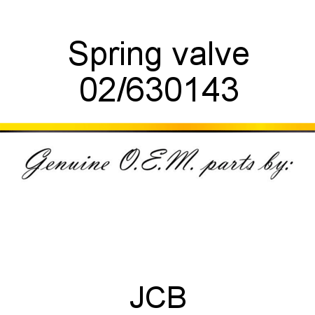 Spring, valve 02/630143