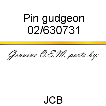 Pin, gudgeon 02/630731