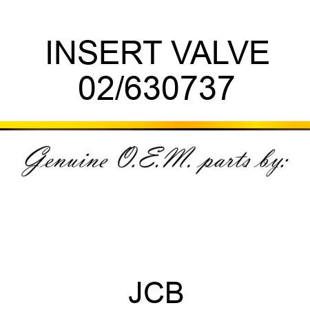 INSERT VALVE 02/630737