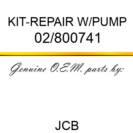 KIT-REPAIR W/PUMP 02/800741