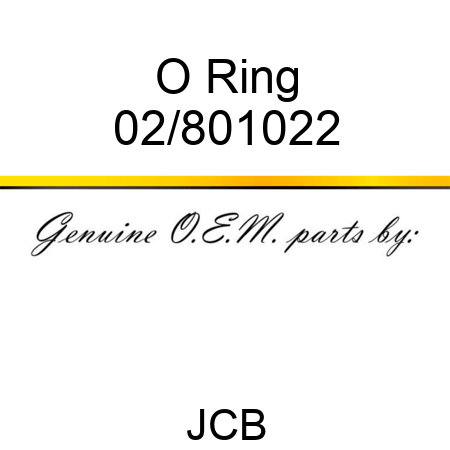 O Ring 02/801022