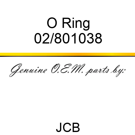 O Ring 02/801038