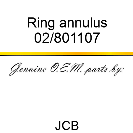 Ring annulus 02/801107