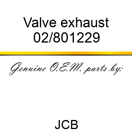 Valve exhaust 02/801229